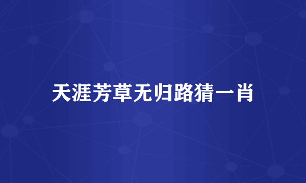 天涯芳草无归路猜一肖