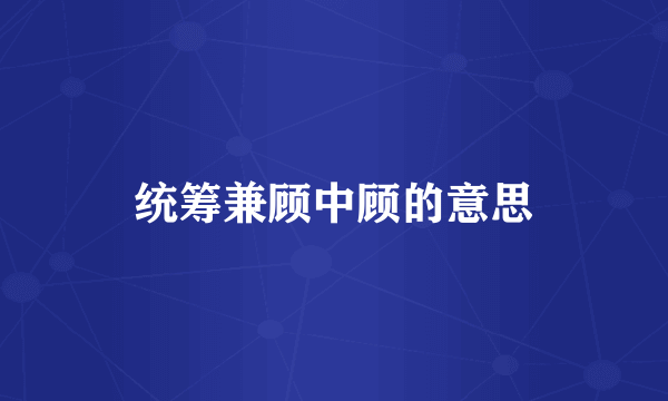 统筹兼顾中顾的意思