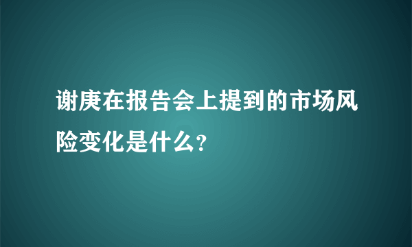 谢庚在报告会上提到的市场风险变化是什么？