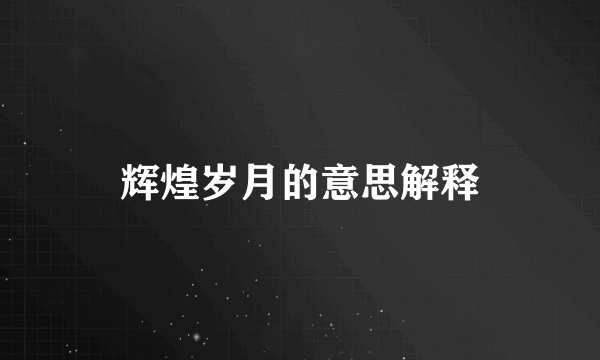 辉煌岁月的意思解释