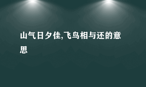 山气日夕佳,飞鸟相与还的意思
