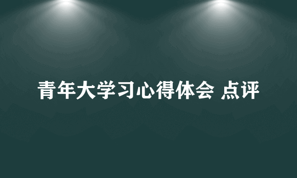 青年大学习心得体会 点评