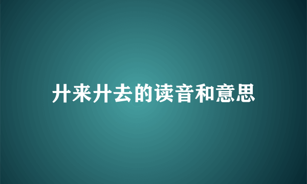 廾来廾去的读音和意思