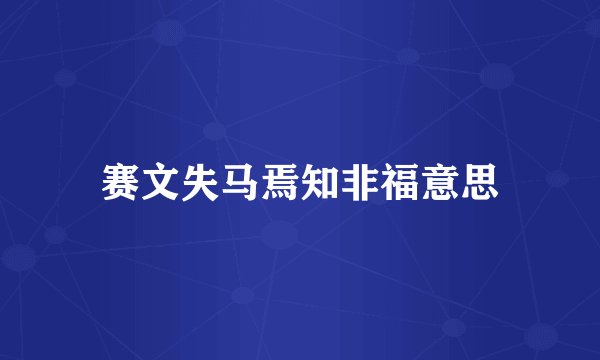 赛文失马焉知非福意思