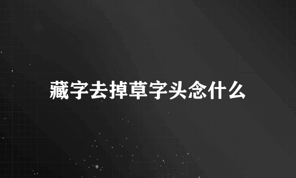 藏字去掉草字头念什么