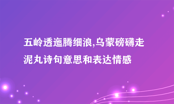 五岭透迤腾细浪,乌蒙磅礴走泥丸诗句意思和表达情感