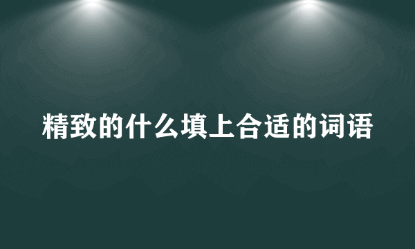 精致的什么填上合适的词语