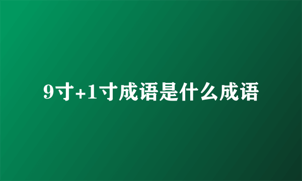 9寸+1寸成语是什么成语