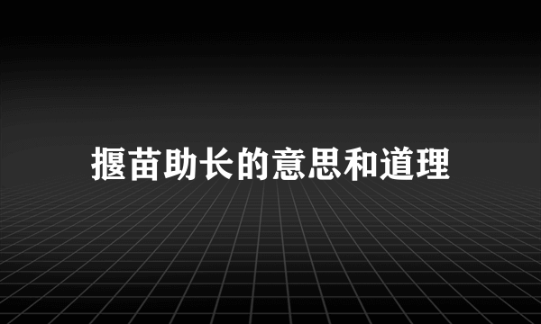 揠苗助长的意思和道理