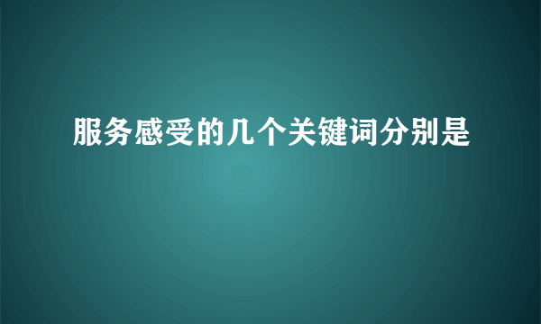 服务感受的几个关键词分别是