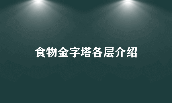 食物金字塔各层介绍