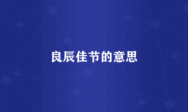 良辰佳节的意思