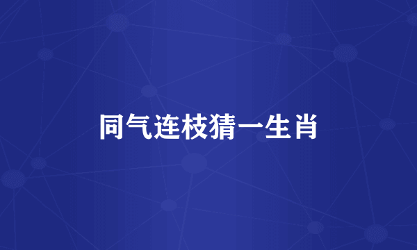 同气连枝猜一生肖
