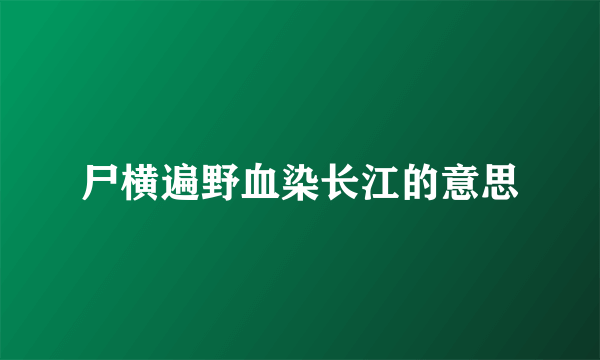 尸横遍野血染长江的意思