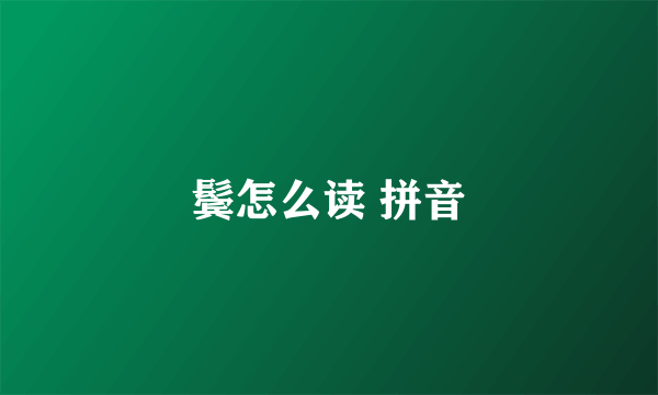 鬓怎么读 拼音