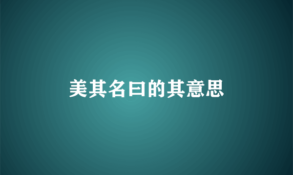 美其名曰的其意思