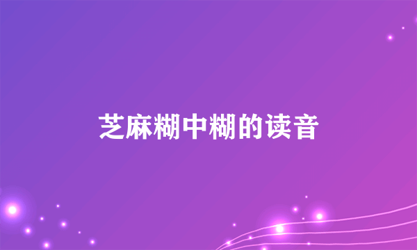 芝麻糊中糊的读音