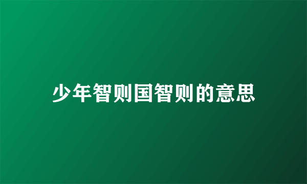 少年智则国智则的意思