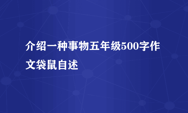 介绍一种事物五年级500字作文袋鼠自述