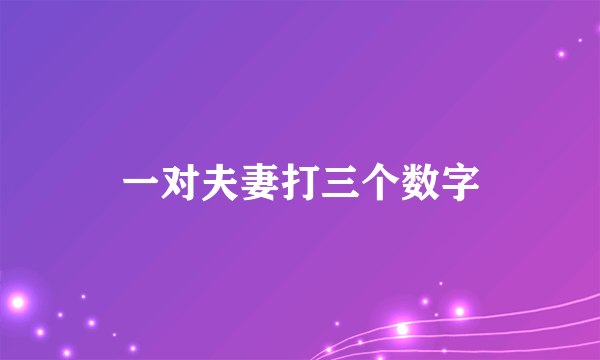 一对夫妻打三个数字