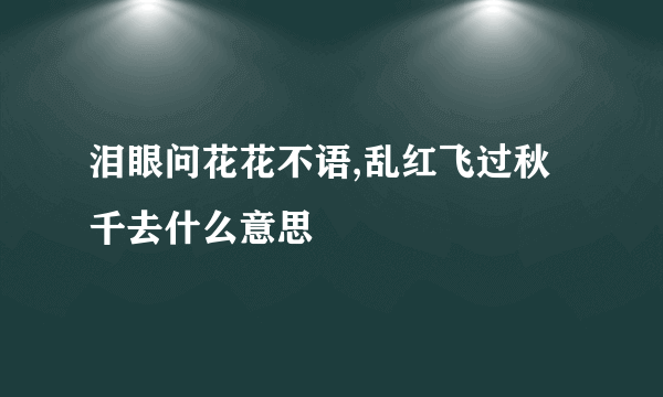 泪眼问花花不语,乱红飞过秋千去什么意思