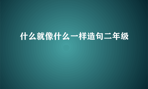 什么就像什么一样造句二年级