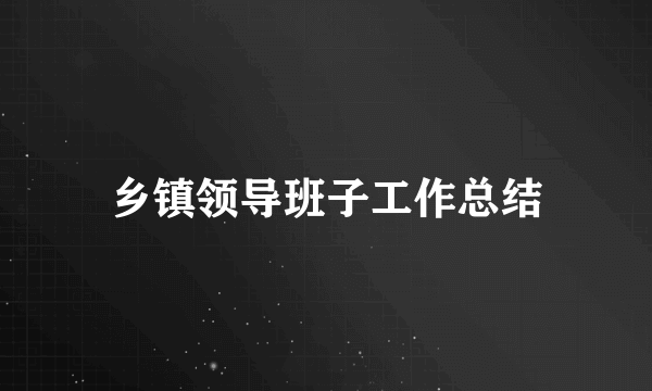 乡镇领导班子工作总结
