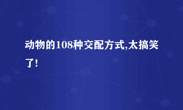 动物的108种交配方式,太搞笑了!