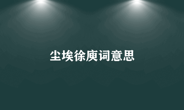 尘埃徐庾词意思