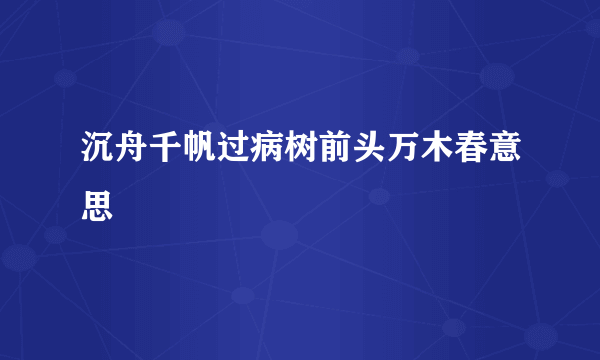 沉舟千帆过病树前头万木春意思