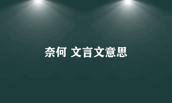 奈何 文言文意思