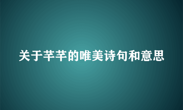 关于芊芊的唯美诗句和意思