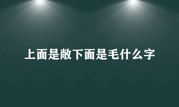 上面是敞下面是毛什么字