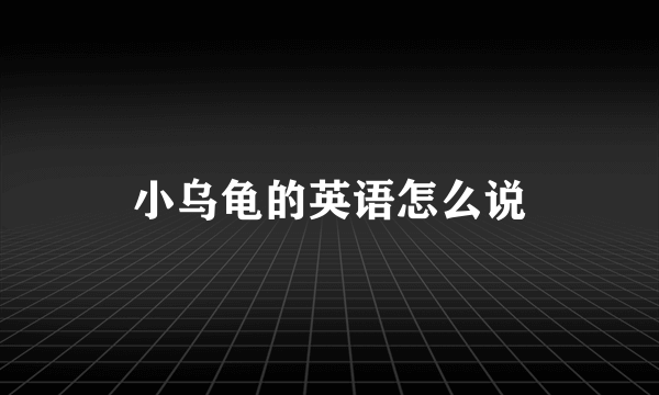 小乌龟的英语怎么说