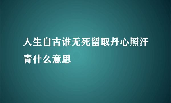 人生自古谁无死留取丹心照汗青什么意思