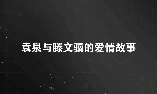 袁泉与滕文骥的爱情故事