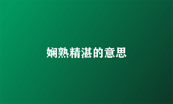 娴熟精湛的意思