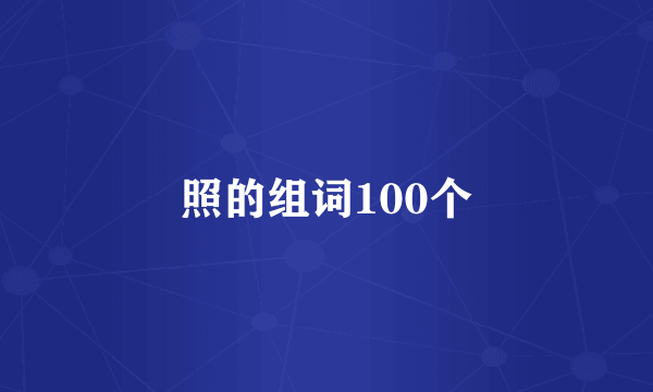 照的组词100个