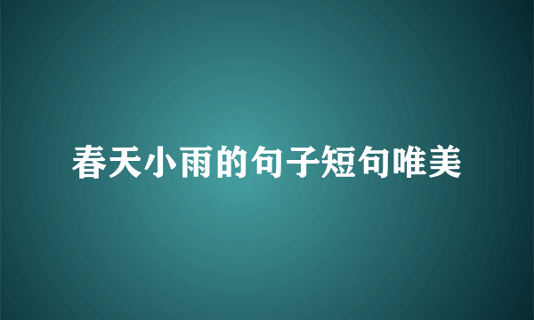 春天小雨的句子短句唯美