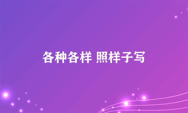 各种各样 照样子写