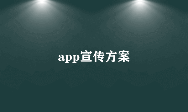 app宣传方案
