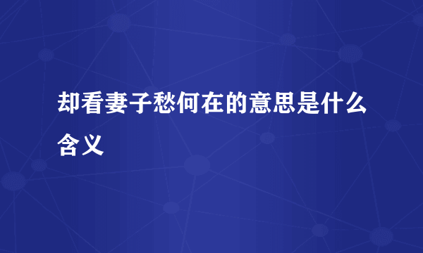 却看妻子愁何在的意思是什么含义