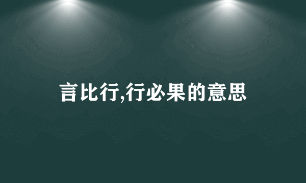 言比行,行必果的意思