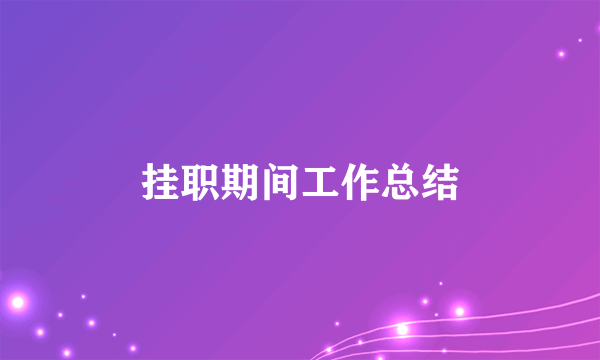 挂职期间工作总结