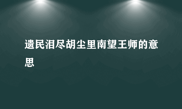 遗民泪尽胡尘里南望王师的意思