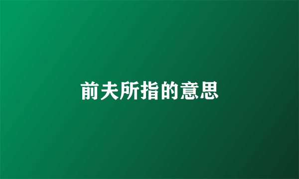 前夫所指的意思