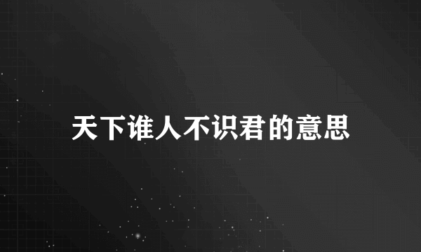 天下谁人不识君的意思