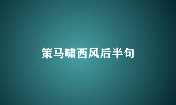 策马啸西风后半句