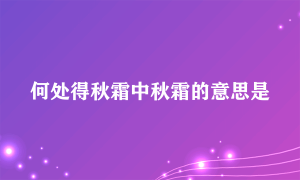 何处得秋霜中秋霜的意思是
