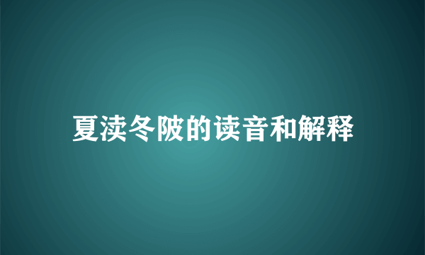 夏渎冬陂的读音和解释